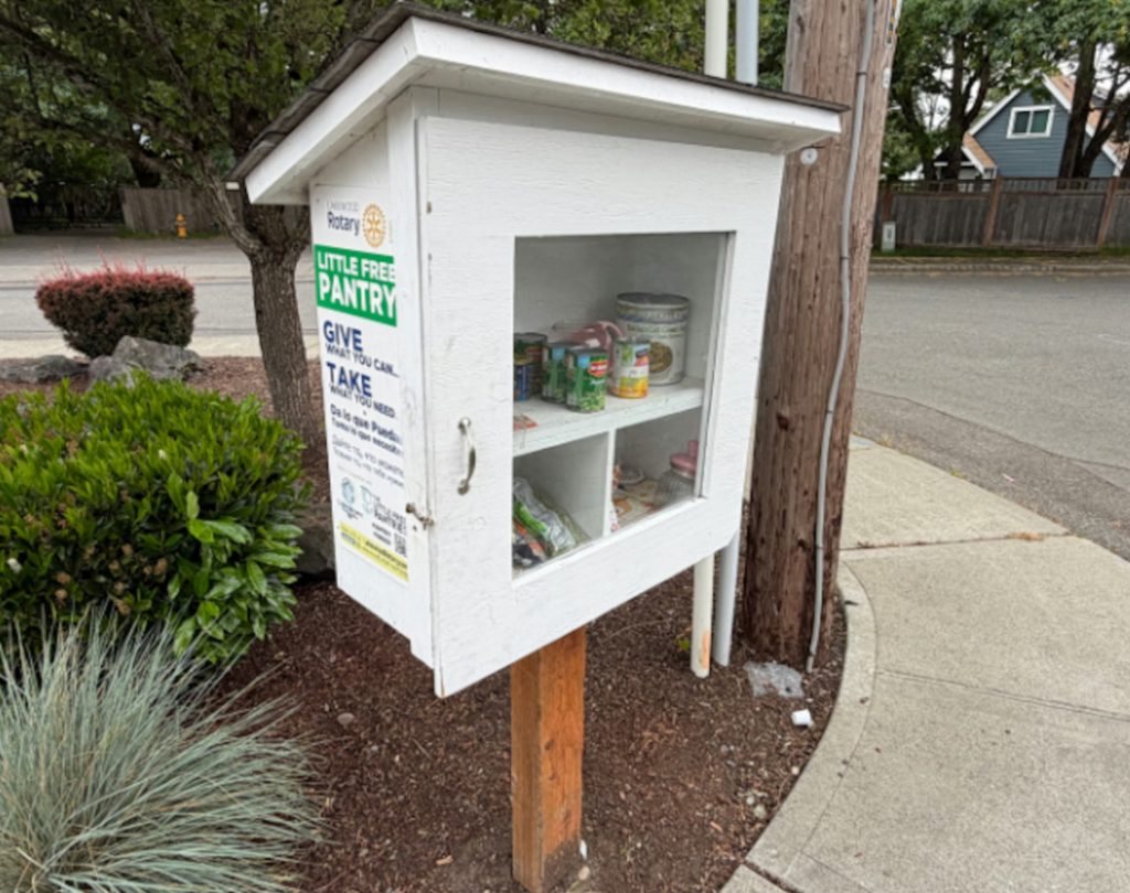 Measuring goodwill: Why UW researchers are watching Little Free Pantries